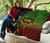 Hawaii Premium Quilt - Hawaii Seal Rocket Style (Reggae)28 7