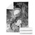 CNMI Premium Blanket - Humpback Whale with Tropical Flowers (White) 7