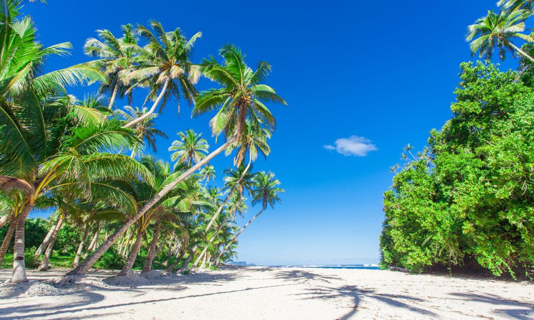 5 Samoa Beaches for Your Perfect Getaway