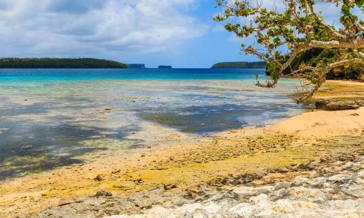 The Best Beaches in Tonga