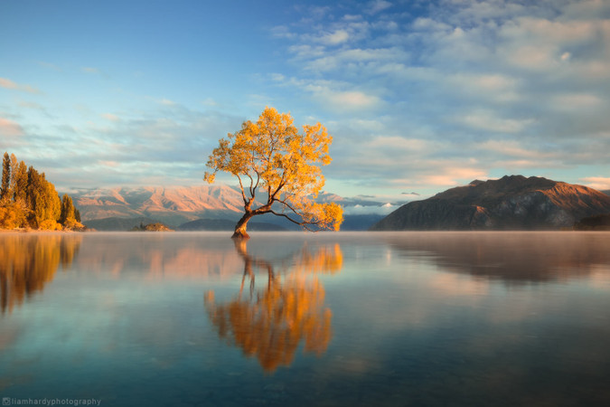 10 Largest Lakes in New Zealand You Probably Didn't Know