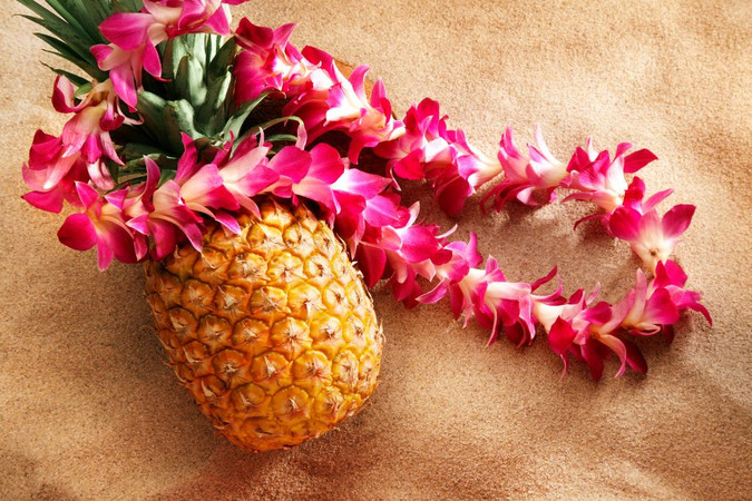 Famous Flowers Symbols in the Polynesian Culture You Need To Know