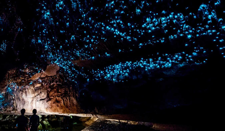 Top 7 Places To Admire Wonderful Glowworm Caves in New Zealand