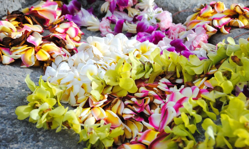 The 7 Most Popular Lei in Hawaii and What Makes Them Special ...