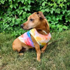 Custom Sublimated Pet Shirt