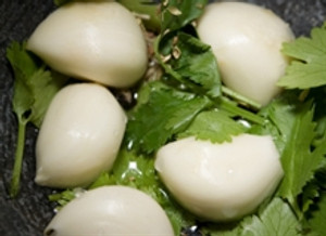 Garlic and Cilantro Garlic and Cilantro
