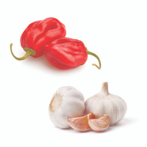 White Balsamic Garlic Habanero Marinade White Balsamic Garlic Habanero Marinade