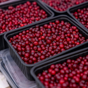 White Cranberry Balsamic White Cranberry Balsamic