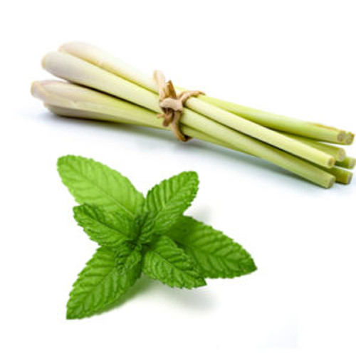 White Peppermint Lemongrass Balsamic