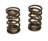 65lb Dual Valve Springs, GX240-390, 301/420 (DJ-3055DS)