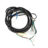 Wire Harness, Blazer200R (6000188080G0A1)