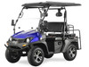 TrailMaster Taurus 200E GX UTV w/ Rear Seat (EFI) (TM-TAURUS200EGX)