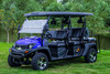 TrailMaster Taurus 80ED GV Electric UTV 6-Seater (TM-TAURUS80EDGV)