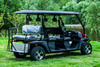 TrailMaster Taurus 80ED GV Electric UTV 6-Seater (TM-TAURUS80EDGV)