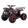 TrailMaster B125 125cc Utility ATV (TM-B125)