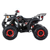 TrailMaster B125 125cc Utility ATV (TM-B125)