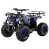 TrailMaster B125 125cc Utility ATV (TM-B125)