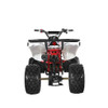 TrailMaster C125 125cc Sport ATV (TM-C125)