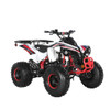 TrailMaster C125 125cc Sport ATV (TM-C125)