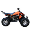 Coolster 3200S 200cc Sport ATV (TM-3200S)