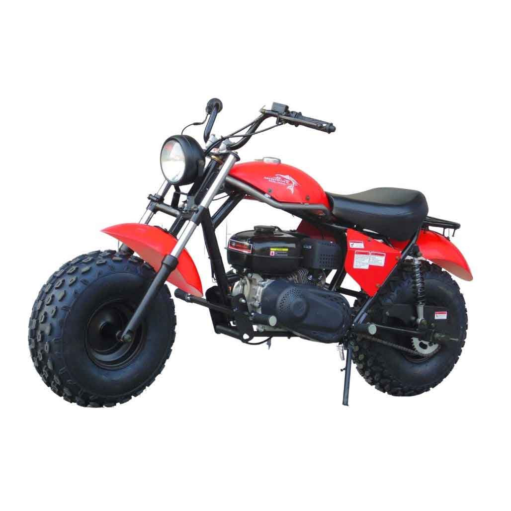 TrailMaster MB200-2 Minibike (MB200)