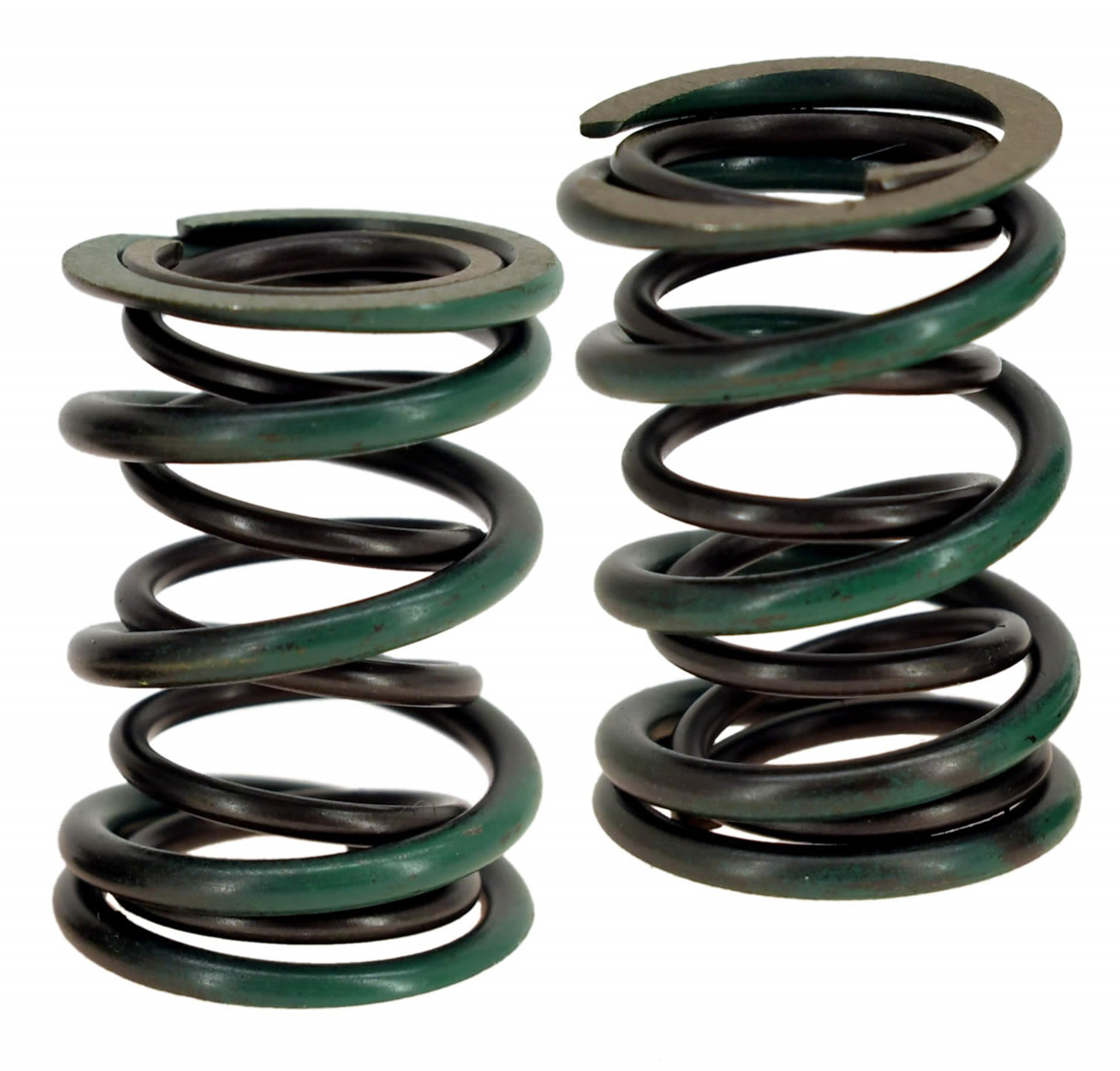 55lb Dual Valve Springs
