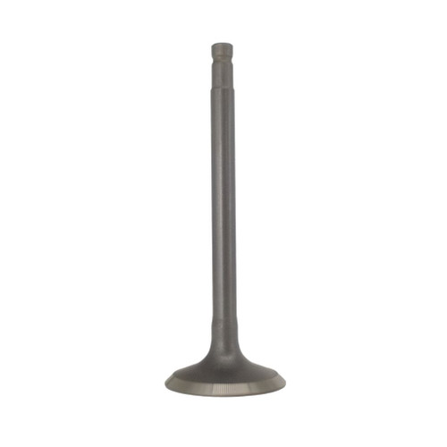 Tillotson 212E Intake Valve (138210019)