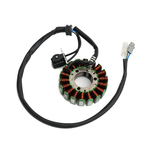 Stator, 300 EFI XRS/XRX (169.07.101)