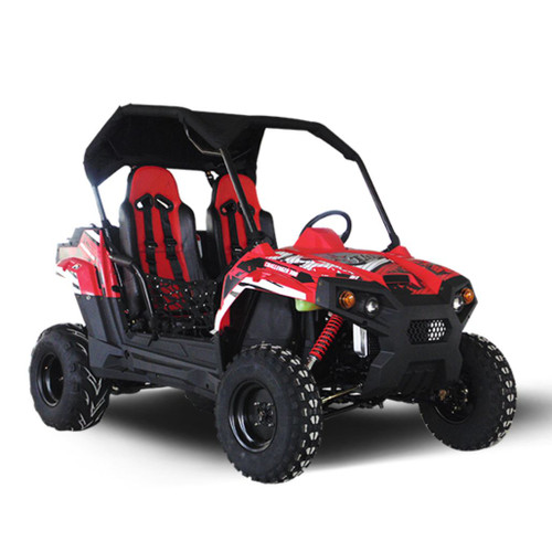 TrailMaster Challenger 300E UTV (EFI) (TM-CHALLENGER300E)