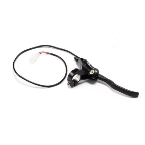 Ebox Front Brake Lever & Master Cylinder (EBFBRAKELEVER)