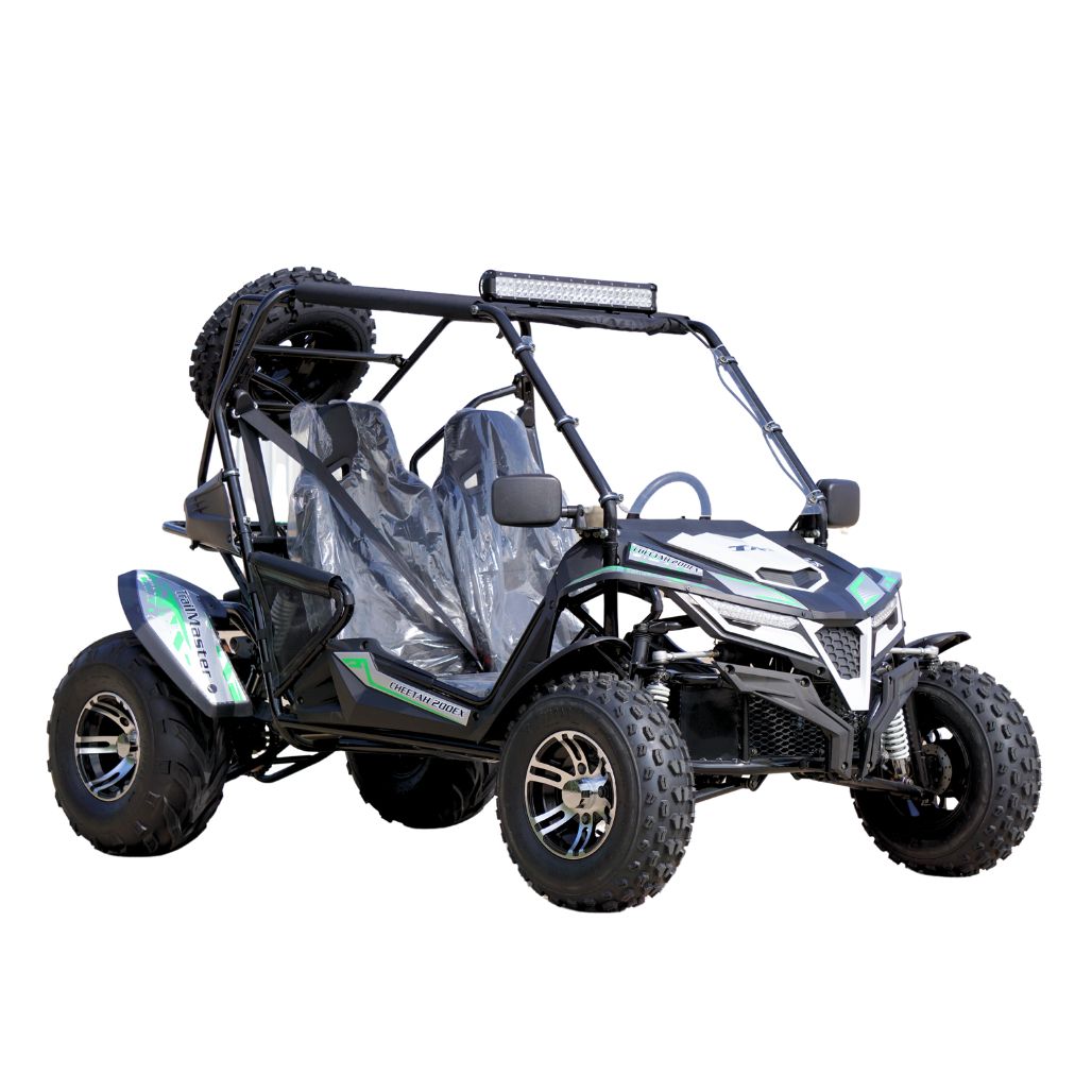 TrailMaster Cheetah 200EX Go-Kart