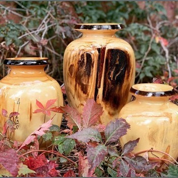 Aspen Wood Art