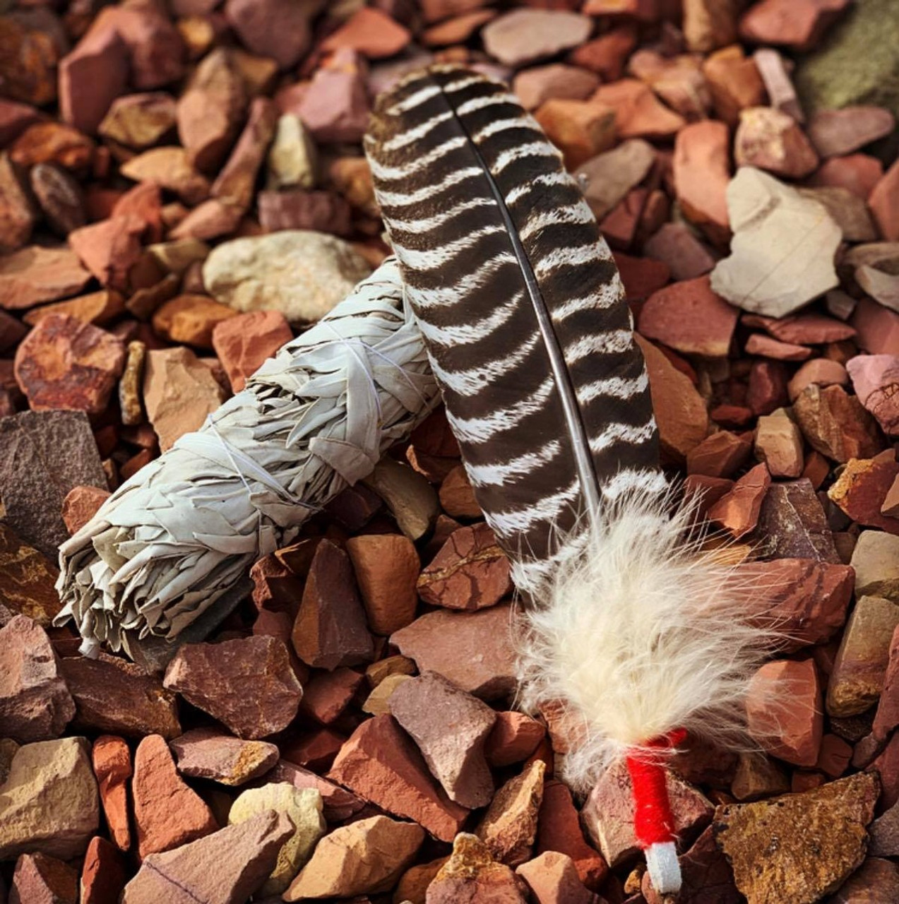 Turkey Feather-All Natural-Spiritual Feather – Regal Elements Holistic  Self-Care