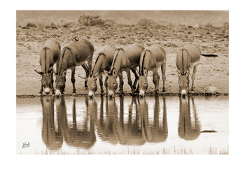 Calm Before the Storm