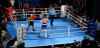Professional 20' X 20' Boxing Ring