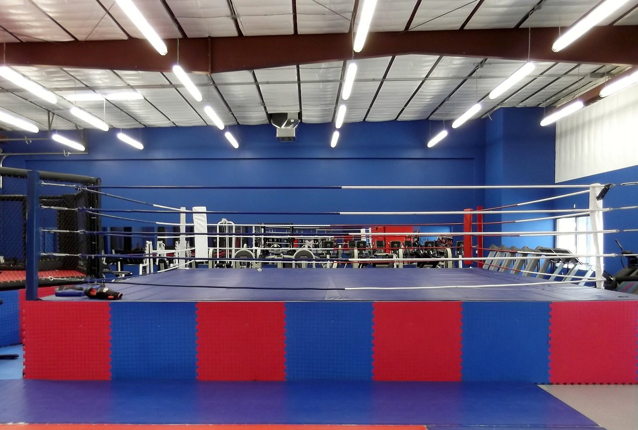 20' X 20' Pro MMA Ring Complete With Flooring