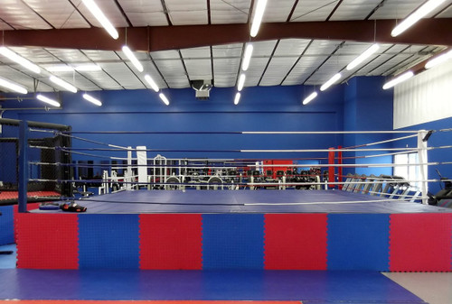 20' X 20' Pro MMA Ring Complete With Flooring 20' X 20' Pro MMA Ring Complete With Flooring