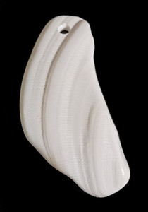 Florida Natural Large Shell Pendant Style N Florida Natural Large Shell Pendant Style N