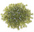 4 Dozen Czech 3mm Fire-Polished Glass Beads - Olivine Shimmer