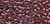 DELICA - TRNSP LUSTER GOLD DARK RED DELICA - TRNSP LUSTER GOLD DARK RED