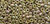 DELICA - OPAQUE LUSTER RAINBOW OLIVE DELICA - OPAQUE LUSTER RAINBOW OLIVE