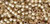 DELICA - SILVER-LINED TAN DELICA - SILVER-LINED TAN