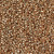 DB-1834 Duracoat Galvanized Champagne Size 11 Miyuki Delica Seed Beads