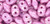 Superduo Beads - Chalk Lila Luster Superduo Beads - Chalk Lila Luster