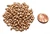 7.5 Grams of 2.5x6mm Czech Glass Rizo Beads - Aztec Gold
