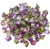 Czech Glass 7x5mm Flower Cup Beads - Crystal Magic Orchid