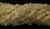 1 Strand of Semiprecious Gemstone Chip Beads - Calcite