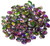 3x5mm Czech Glass Gekko Beads - Crystal Magic Orchid