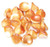 Czech Glass 10x12mm 3-Petal Flower Beads - Chalk White Full Apricot Medium