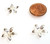 50 Silver-Plated 4x14mm 5-Leaf Bead Caps 50 Silver-Plated 4x14mm 5-Leaf Bead Caps